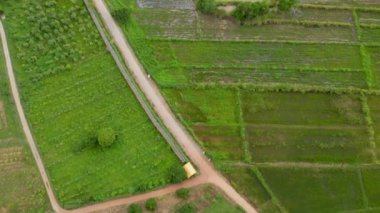Asya arazi ve tarlaları, Asya gelenekleri, tropikal hava koşulları üzerinde 4K hava aracı görüntüsü. Kuş uçmaz kervan geçmez bir yerde, uzak bir yerde toprak, güneş pili deseni 