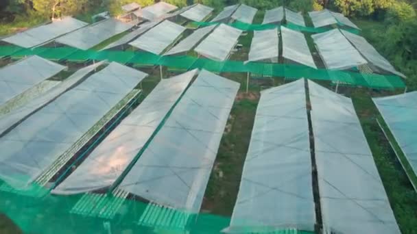 Aerial Drone Shot Vegetable Farm White Green House Roof Agricultural — Stock Video