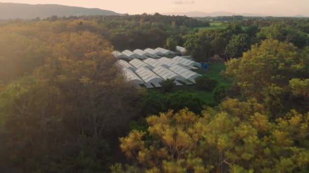 Aerial Drone Shot Vegetable Farm White Green House Roof Agricultural — Stock Video