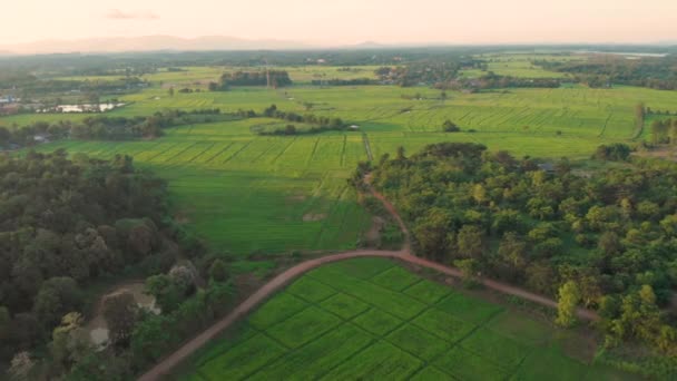四千多架无人驾驶飞机在具有山地背景的正方形稻田上空盘旋 泰国国边风景秀丽 农业传统 热带气候炎热湿润 晴朗的天空 旅游亚洲 — 图库视频影像