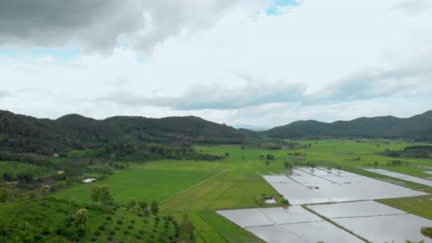 Anteny Dron Strzał Nad Zielonym Polu Rolnictwa Zachmurzone Niebo Krajobraz — Wideo stockowe