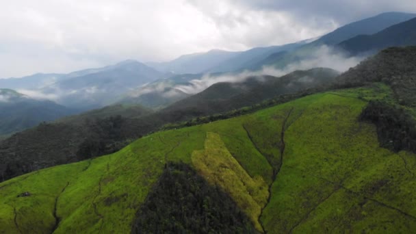 Alto Ángulo Drone Tiro Girando Por Encima Enorme Montaña Verde — Vídeos de Stock