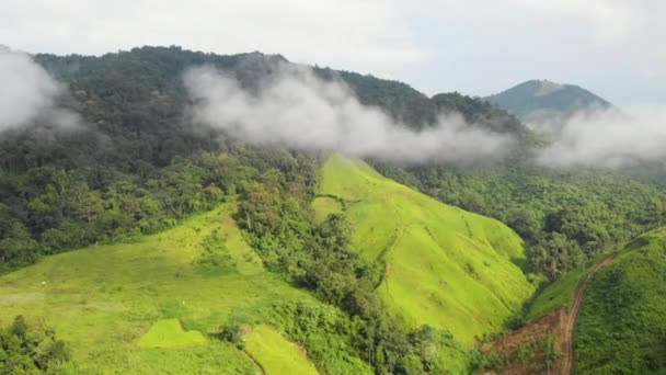 Drone Seriële Shot Boven Groene Berg Hoge Hoogte Mistig Bewolkt — Stockvideo