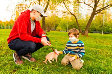 Tıbbi koruyucu maskeli beyaz bir baba ve oğul güneşli bir günde çimlerin üzerinde parkta kalırlar. Baba ve çocuk yürür ve yavru köpek chihuahua ile oynarlar..