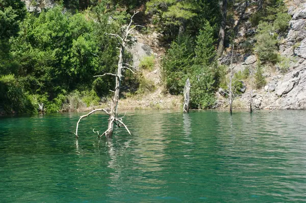 Bellissimo Lago Montagna Estivo — Foto Stock