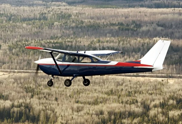 Cessna Letadlo Létá Lesním Pozadí — Stock fotografie