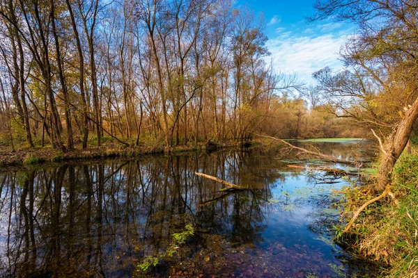 Río Ticino y bosque — Foto de Stock