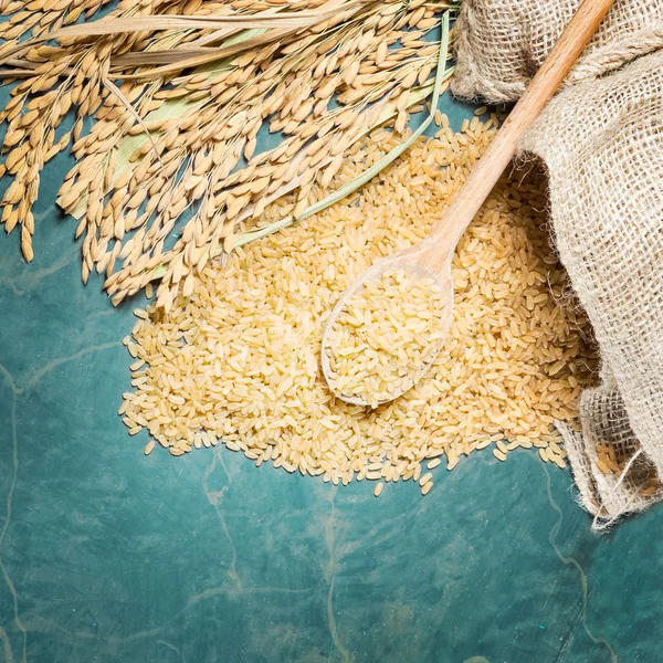 Brown rice,ear of spike and spoonful — Stock Photo, Image