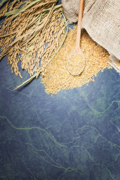 Oreja de especias marrones, arroz y cucharada — Foto de Stock