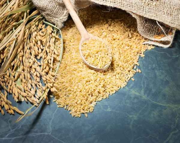 Spike of rice and brown rice — Stock Photo, Image