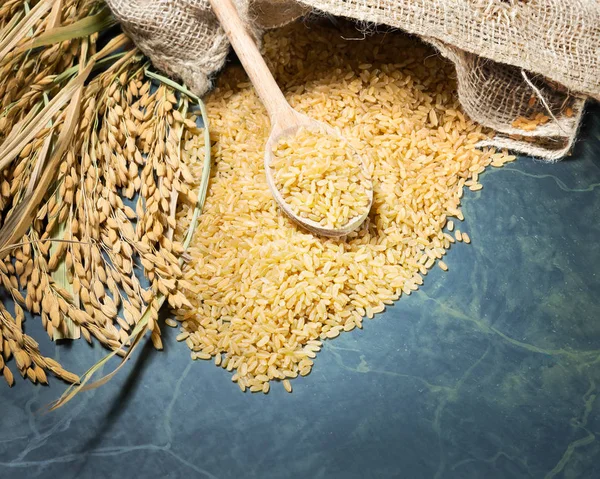 Espigão de arroz e arroz integral — Fotografia de Stock