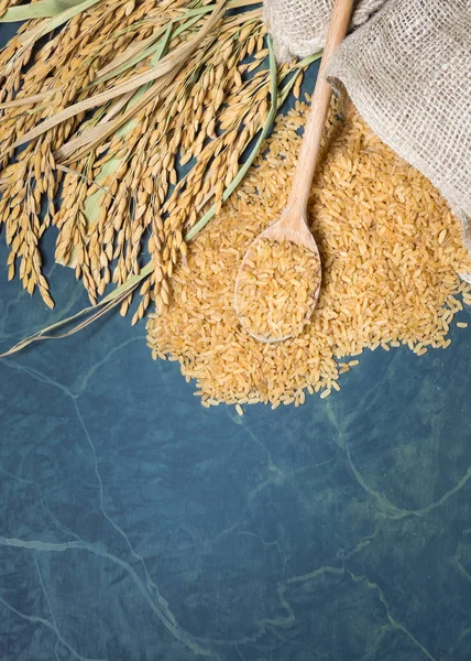 Cucharada de arroz integral y espiga — Foto de Stock