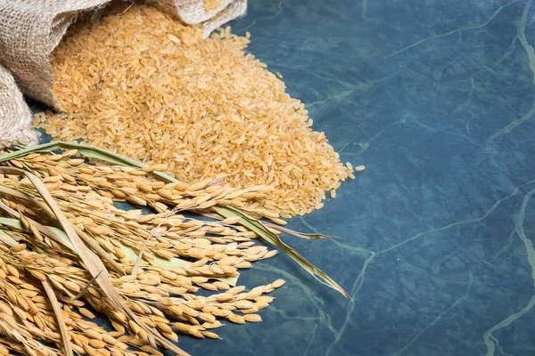 Arroz com espiga e arroz integral — Fotografia de Stock