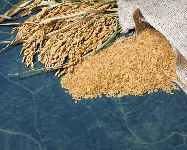 Arroz com espiga e arroz integral não cozido — Fotografia de Stock