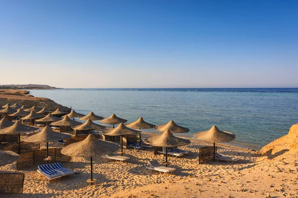 Reven på Red sea beach resort — Stockfoto