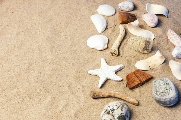Mooie schelpen op het strand — Stockfoto