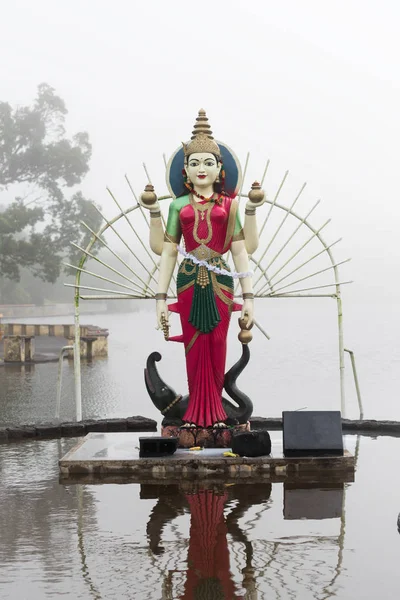 Statue der Shakti in einem hinduistischen Tempel — Stockfoto