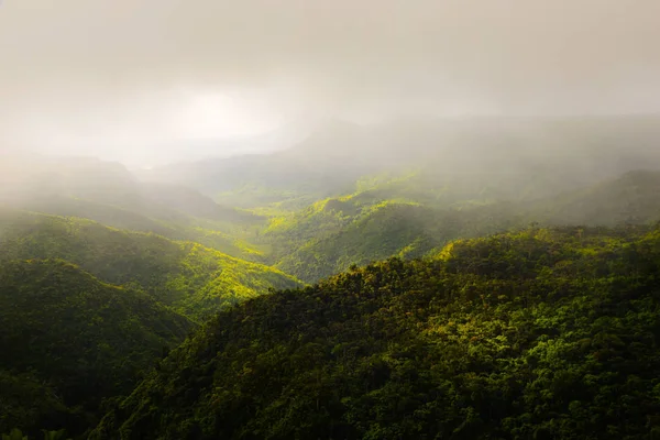 Landscape of Black River park — Stock Photo, Image