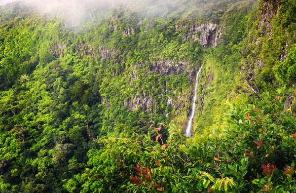 Panorama de cachoeira Rio Negro e selva — Fotografia de Stock