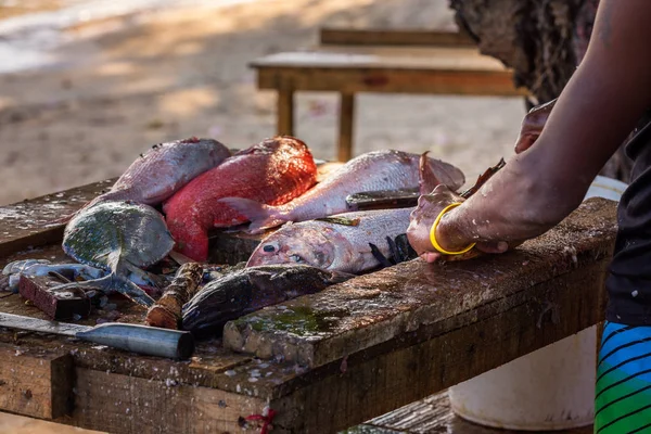 Mãos de Fisher limpando peixe ao ar livre — Fotografia de Stock