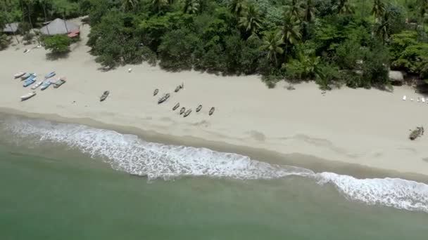 Повітряний Пейзаж Карибського Тропічного Пляжу Човном Пляжі Подорож Відпустка Півострові — стокове відео
