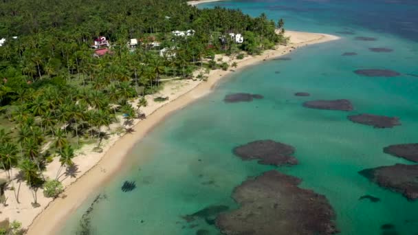 Widok z lotu ptaka na tropikalną plażę.Półwysep Samana — Wideo stockowe