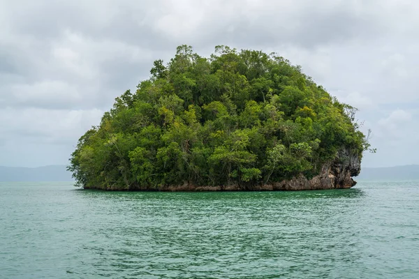 Petit îlot Parc National Los Haitises gros plan — Photo