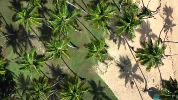 Luftaufnahme des karibischen tropischen Strandes — Stockvideo