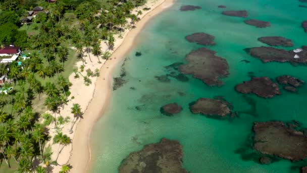 加勒比热带海滩的空中地貌景观 — 图库视频影像