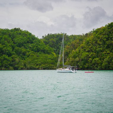 Lüks tekne tropikal ormanın yakınına demir attı.