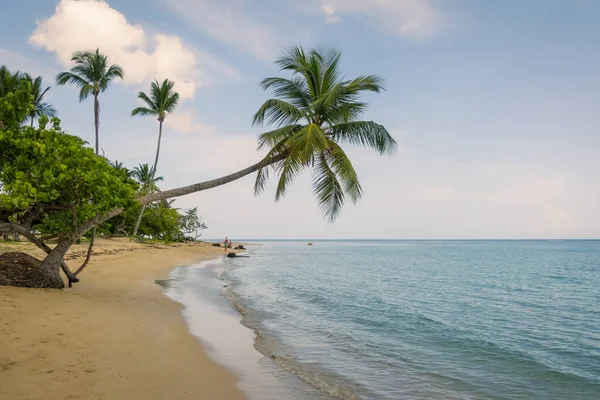 Tropisch strand met zeezand en palmbomen — Stockfoto