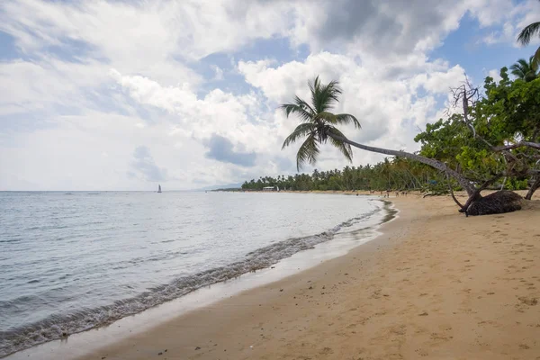 Velká bahia pláž s mořským pískem a palmami — Stock fotografie