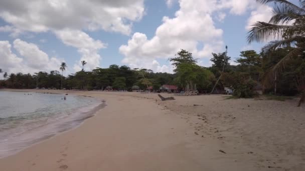 Vue par drone des vagues océaniques et de la plage sablonneuse des Caraïbes 