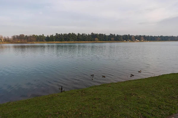 Lago Idroscalo Por Noche Parque Idroscalo Día Invierno Milán Italia — Foto de Stock