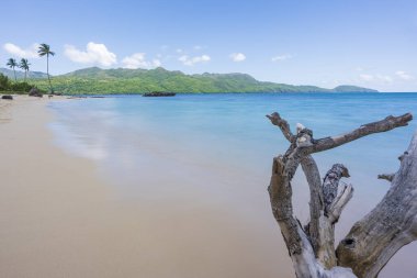 Denizin, kumların ve mavi gökyüzünün olduğu egzotik bir sahil manzarası, gün içinde Rincon Sahili 'nde, Samana yarımadasında, Dominik Cumhuriyeti