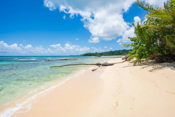 多明尼加共和国萨马纳半岛Rincon海滩的一个公共海滩上 一日三夜都可以看到大海 沙滩和蓝天的奇异海滩 — 图库照片