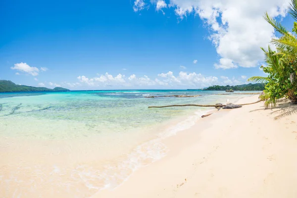 Krásná Tropicky Bílá Písečná Pláž Rinconu Slunečný Den Poloostrově Samana — Stock fotografie