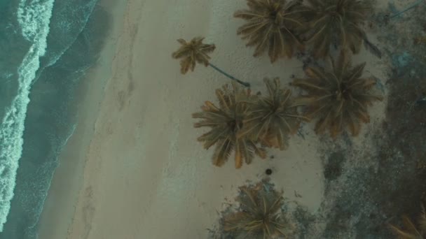 From above view of ocean waves and sandy Caribbean — Stockvideo