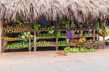 Sokakta, Samana yarımadasında, Dominik Cumhuriyeti 'nde meyve ve sebze satan bir yer var..