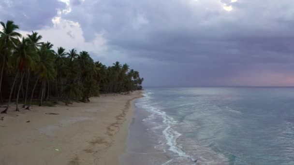 夕方の海と砂浜の空中風景 — ストック動画