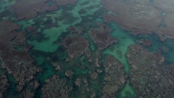 Drone vista del océano, sombrillas y playa caribeña de arena — Vídeos de Stock