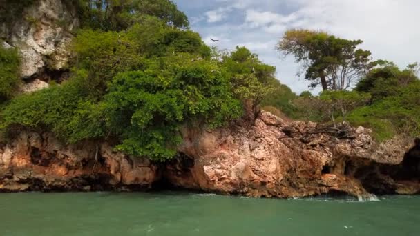 Los Haitises nationalpark — Stockvideo