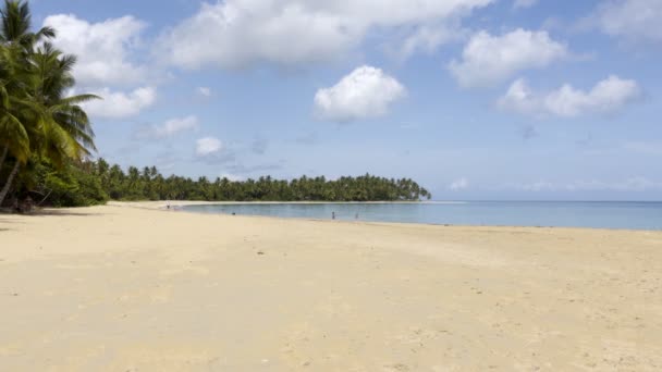 Gyönyörű kilátás a trópusi strandra — Stock videók