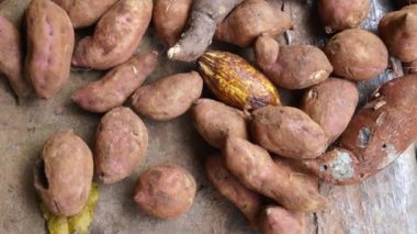 10 frutta 24