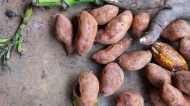 10 frutta 23