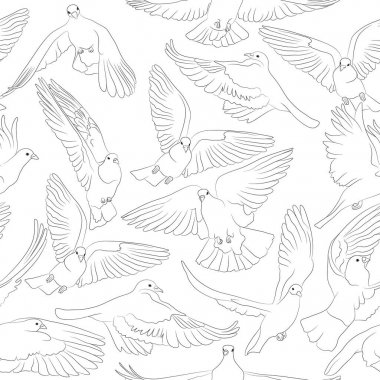 Çeviri: nazo82 Shagrathian