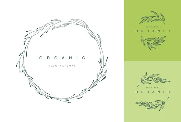 Logo Vectoriel Marque Floristique Illustration Plante Vectorielle Dessinée Main — Image vectorielle