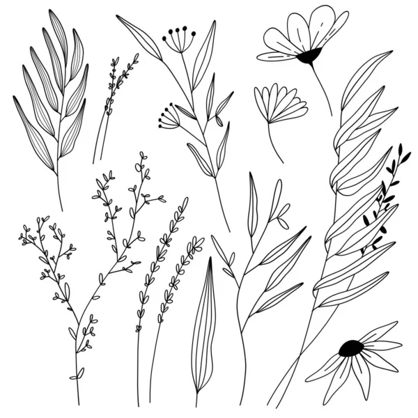 Колекція Ручної Роботи Сезонними Рослинами Листям — стоковий вектор