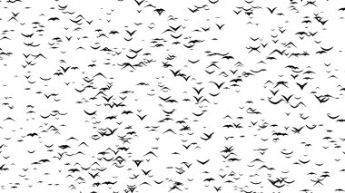 A flock of flying birds forms RIP - part of timelapse, stop motion, gif animation. Rest In Peace formed by birds. clipart