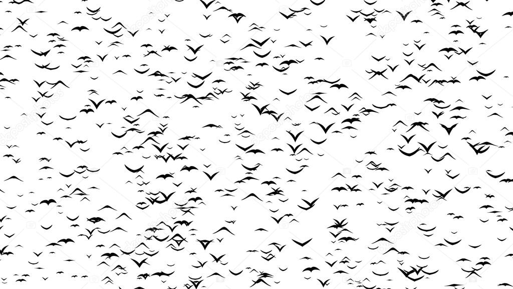A flock of flying birds forms RIP - part of timelapse, stop motion, gif animation. Rest In Peace formed by birds.